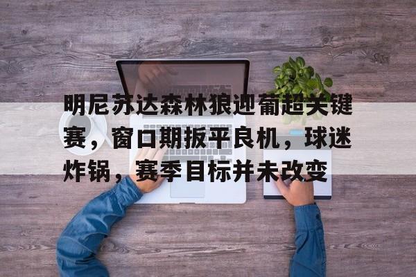 爱游戏平台-明尼苏达森林狼迎葡超关键赛，窗口期扳平良机，球迷炸锅，赛季目标并未改变的简单介绍